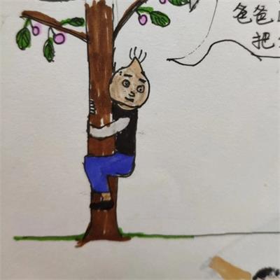 看见森林